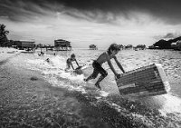 126 - WATER SKIING M - CHEN XINXIN - china <div
